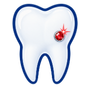 Tooth Jewellery