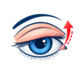 Ptosis Work-Up & Ptosis Surgery